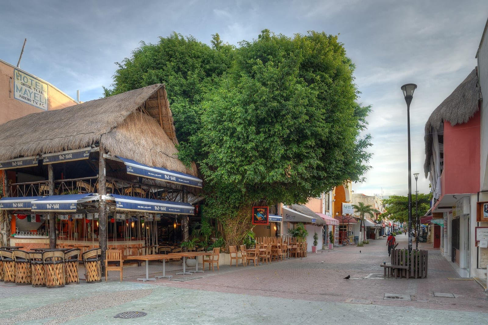La Quinta Avenida piétonne, avec des restaurants aux toits de palme sous un grand arbre