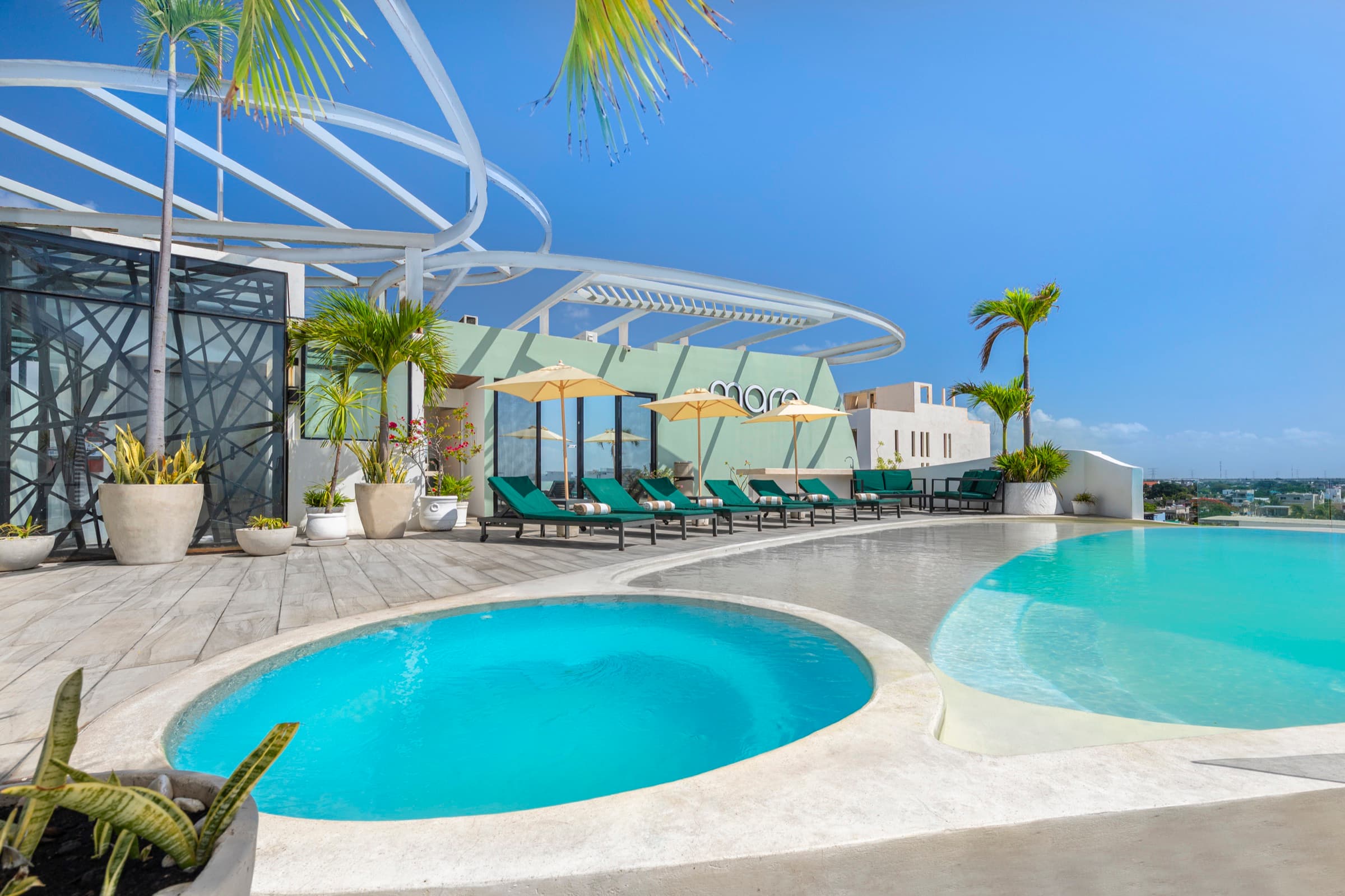 Alberca del rooftop con camastros, palmeras y pérgola blanca